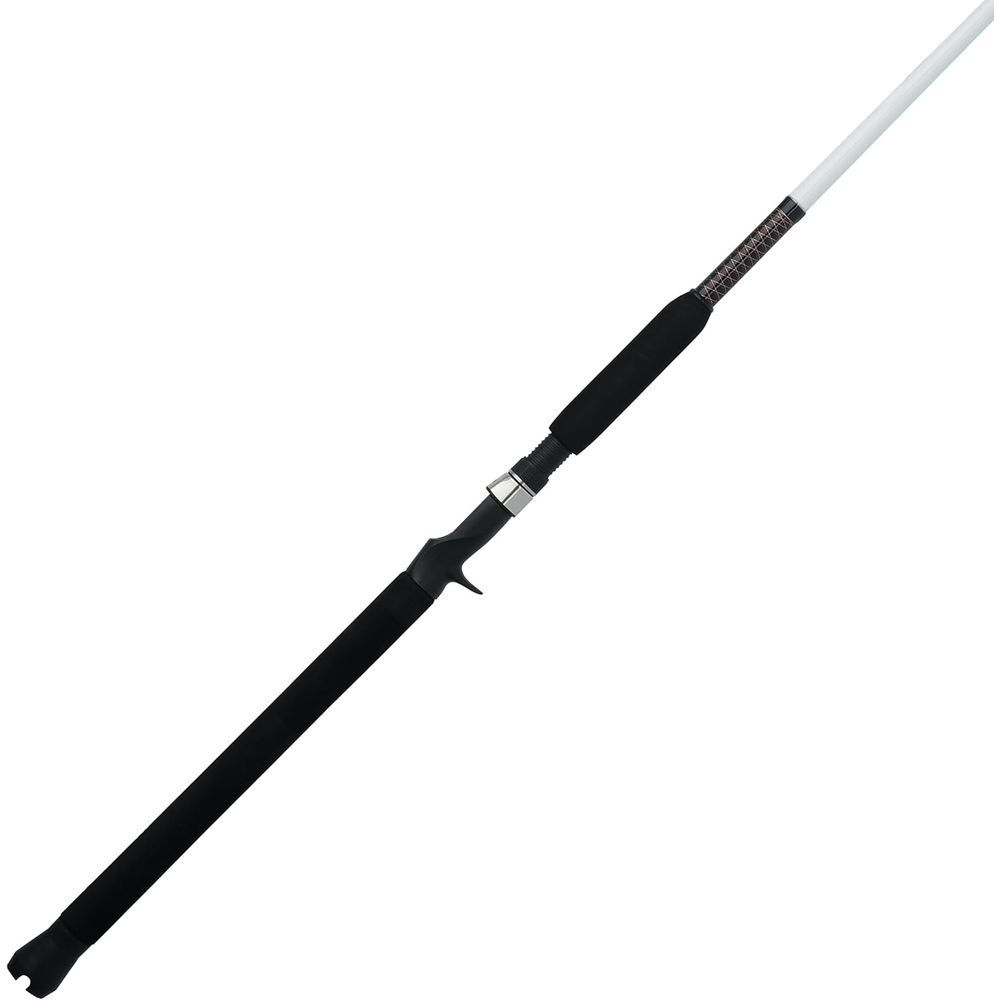 Special Spinning Fishing Rod - Fishing Rod Spinning บทวิจารณ์และราคา